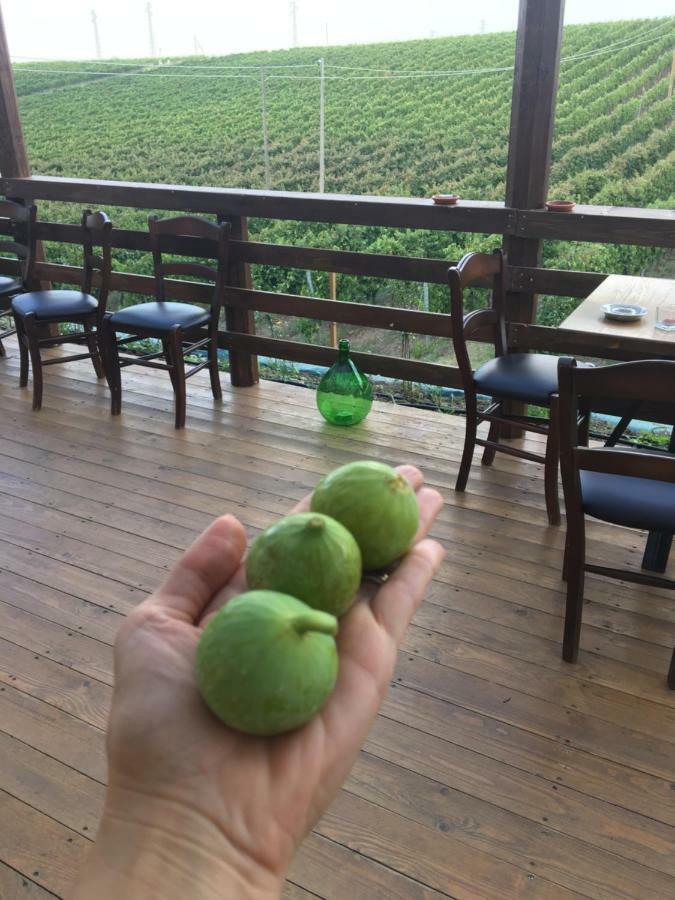 Agriturismo Tenuta Lagala Venosa Zewnętrze zdjęcie